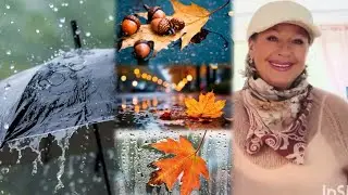 October 24, 2025. For a walk with Pasha 💁🏼‍♀️Sorting through my treasures 🍂🍁Autumn days!