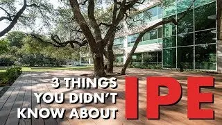 3 Things You Didn't Know About Ipe - TimberTips
