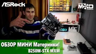 ОБЗОР AsRock [B250M] H110-STX MXM