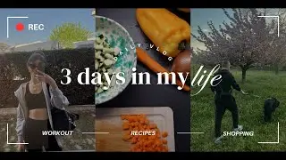 Ndrimi dollapit, prenontojm udhetimin e radhes, pastrime dhe Berlook Haul| Vlog| Angela Ak