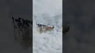 ВАУ!!! ИСТРЕБИТЕЛЬ ВЫПУСТИЛ ОГОНЬ. БАРНАУЛ 2024. 31 АВГУСТА. ДЕНЬ ГОРОДА.