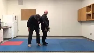 Koshijutsu