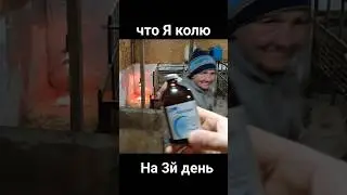 ответы на вопросы : Что колоть поросятам с рождения?