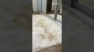 Пушистые ковры Elizabeth