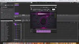 808 Sizzurp Overview & In-depth Look MP4.