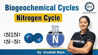 NITROGEN CYCLE | Forest mains 2022 | biogeochemical cycle | paper 2 | Technical mains exam