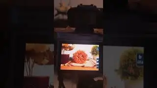 Foto Kue Lebaran