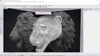 Lion Head Modeling Tutorial - Clayoo, SubD for Rhino