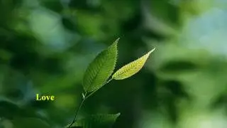 Randy Goodrum - Love [w/ lyrics]