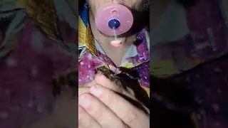 Kissing creatures at night 🌛 (ASMR)
