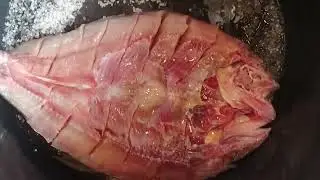 Вкусные Книжки из Рыбы! Холодное копчение рыбы.