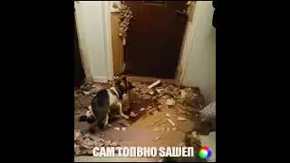 субъект пытается сбежать #memes #cupcut #мем #мемы_тикток #tiktok #мемы #нейросеть #позорроссии