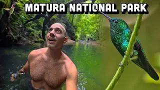 Hummingbird Hotspot! Hiking with Trinidad’s TOP Wildlife Photographers