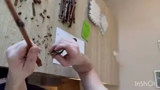 Проращивание черенков Винограда!