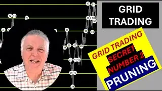 Learn 5 Exciting Methods of Pruning trades when Grid Trading