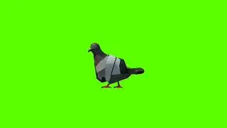 Cartoon Green Screen Animation