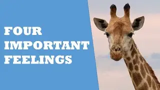 Four important feelings – Marshall Rosenberg