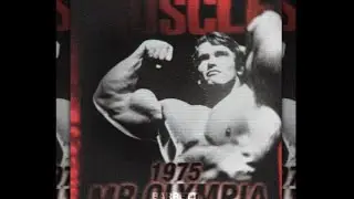 Second Best | Arnold Schwarzenegger x Barretti