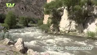 Grand Canyon National Park - Colorado river