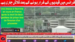 Manhunt under way in France after two prison officers killed in prisoner escape-