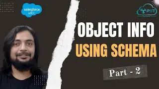 Object Info using Schema - II - Working with Data in Apex