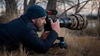 Finally! Bird Photography with the Nikon Z9!
