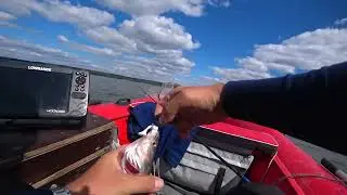 Судак на Берди в штиль. Судак на джиг с лодки.