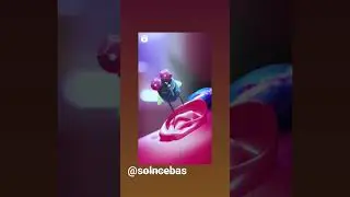 Муха 50 CENT