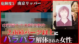 【閲覧注意】南京リッパー　解説【危険度5】