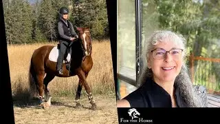 How to Ride Lateral Movements With Your Horse