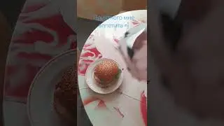 =〕