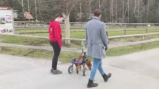 New Mark bekommt ein Zuhause