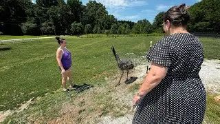 Water Your Emu #emu #bird