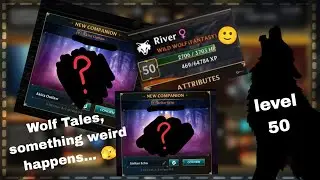 Wolf Tales - Level 50 wolf, Champion Chests, New Companion... but something happens 😮🫣
