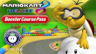 Mario Kart 8 Deluxe Booster Course Pass - Turnip Cup