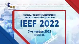 IEEF2022