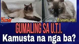 KAMUSTA NA NGA BA SI KRUEGER NGAYON? 2 TAON MAKALIPAS NUNG NAGKA U.T.I SIYA.