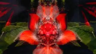 Ascension (David Duchow)