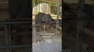 а кто сказал, что будет легко? #tora #ревность
