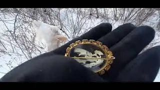 Жемчужина моей коллекции- советская инталия на стекле💥