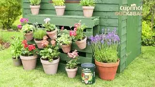 How to invite wildlife into your garden with Cuprinol Ducksback