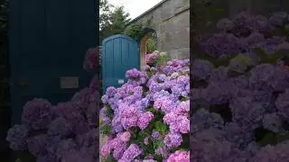 #beautiful