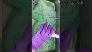 Dyeing Twisted Skeins of Yarn Livestream Recap (January 2024)