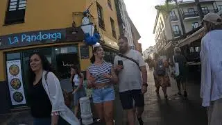 Walk in Puerto de la Cruz Tenerife 🇪🇸