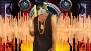 Мой кот