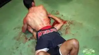 Aikido Dim Mak Felony Fights