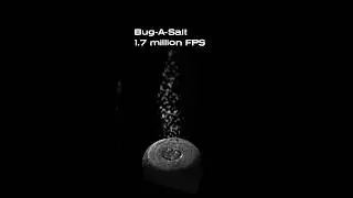 Bug-A-Salt 1.7 million FPS #oneshot #bugasalt #fps