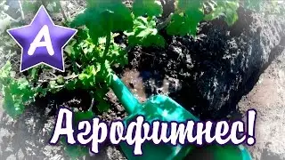 Агрофитнес. Часть 1 - Посадка семян