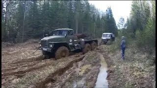Урал 4320 Спасение самодельного Караката из леса в Распутицу!!!