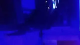 25 de diciembre de 2020(1)